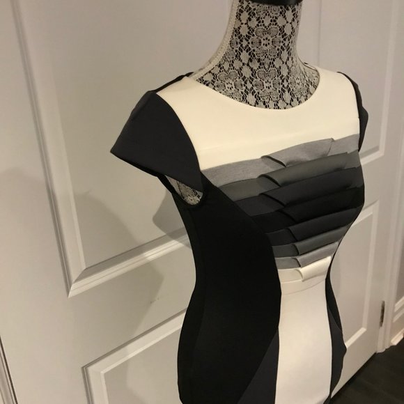 Rina Scimento Dress NWOT - Picture 3 of 4